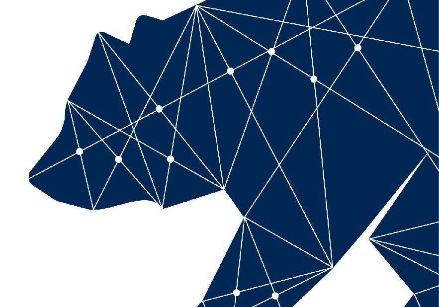 Image of a navy blue bear made up of data points connected by lines.